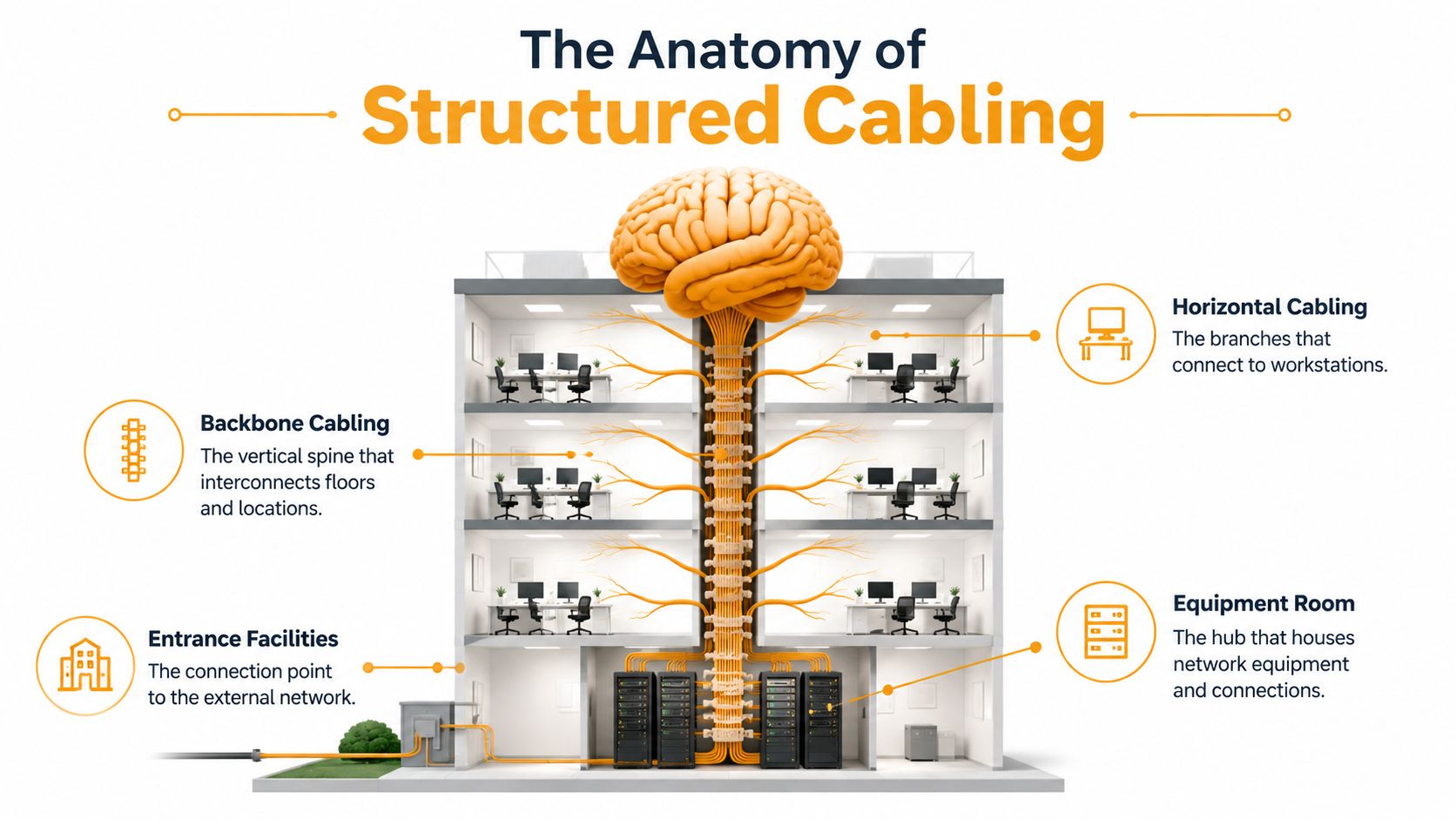 A diagram illustrating the anatomy of structured cabling within an office building with interconnected network components.
